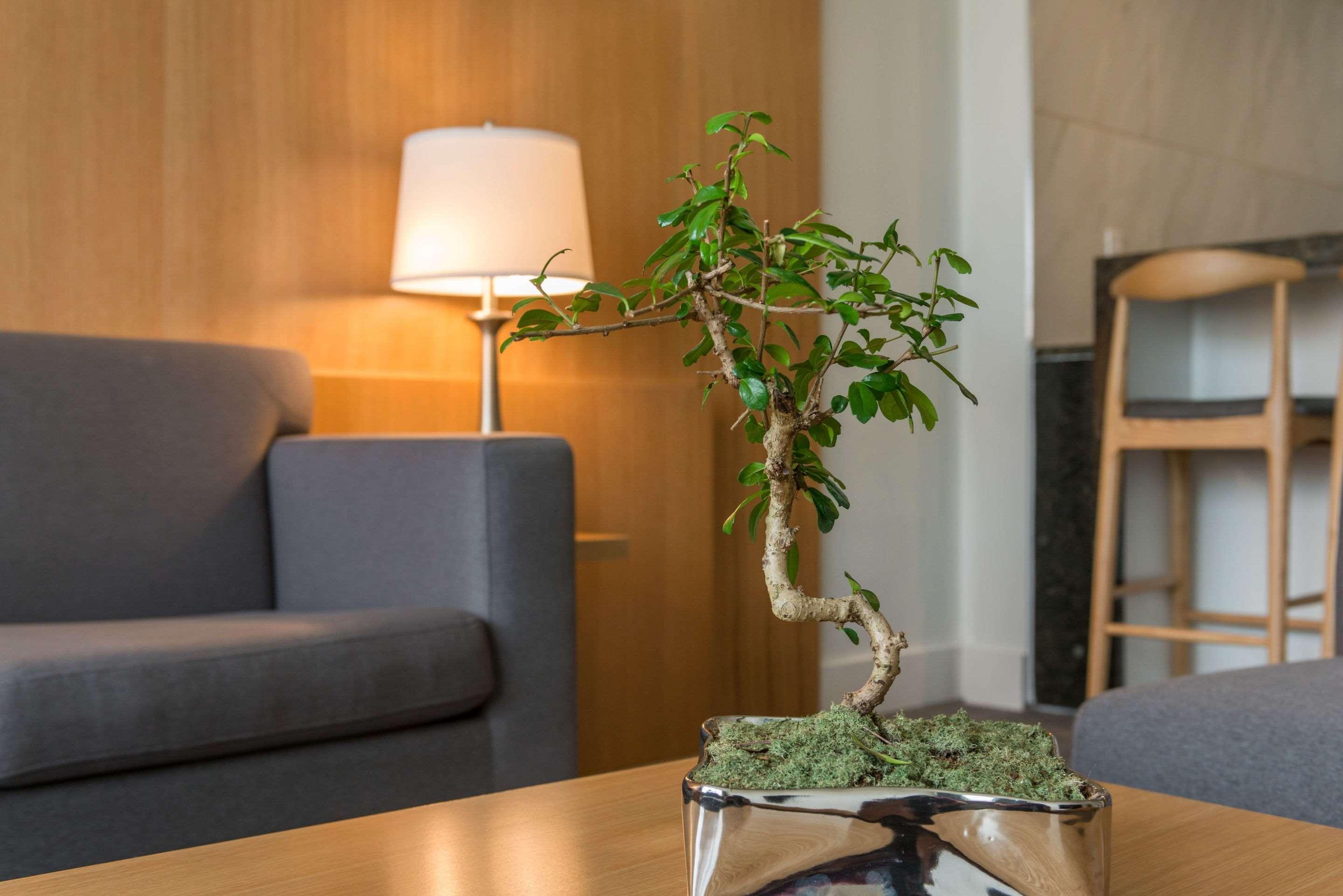 The West Wing Boutique Hotel Tampa Eksteriør billede